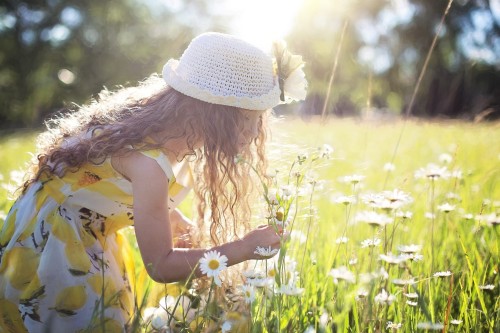 picking-flowers-g913eac8c4_1920.jpg